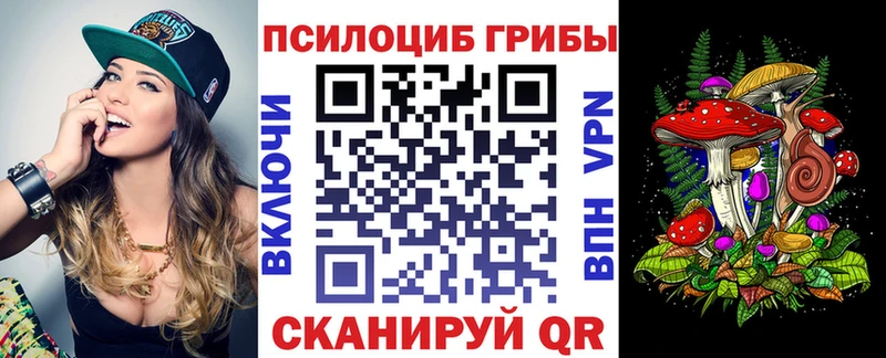 Галлюциногенные грибы MAGIC MUSHROOMS  цены наркотик  Ливны 
