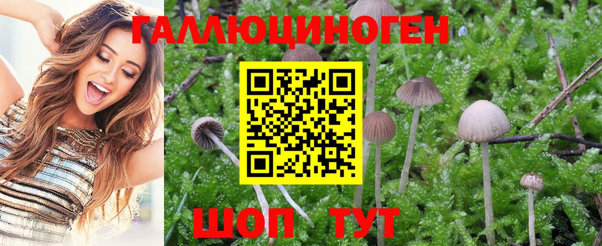 Псилоцибиновые грибы MAGIC MUSHROOMS  Вход с VPN  закладки  Ливны  Псилоцибиновые грибы ЛСД 