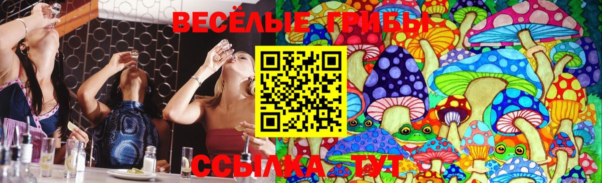 Галлюциногенные грибы прущие грибы Ливны